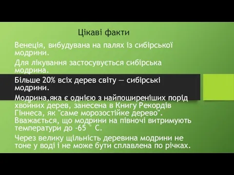 Цікаві факти Венеція, вибудувана на палях із сибірської модрини. Для лікування