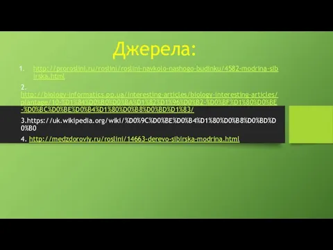 Джерела: http://proroslini.ru/roslini/roslini-navkolo-nashogo-budinku/4582-modrina-sibirska.html 2. http://biology-informatics.pp.ua/interesting-articles/biology-interesting-articles/plantage/10-%D1%84%D0%B0%D0%BA%D1%82%D1%96%D0%B2-%D0%BF%D1%80%D0%BE-%D0%BC%D0%BE%D0%B4%D1%80%D0%B8%D0%BD%D1%83/ 3.https://uk.wikipedia.org/wiki/%D0%9C%D0%BE%D0%B4%D1%80%D0%B8%D0%BD%D0%B0 4. http://medzdoroviy.ru/roslini/14663-derevo-sibirska-modrina.html