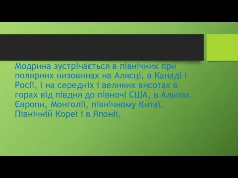 Модрина зустрічається в північних при полярних низовинах на Алясці, в Канаді