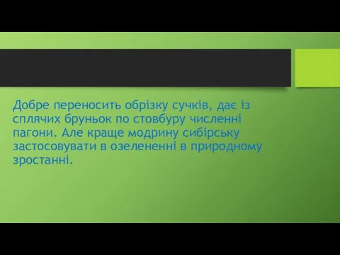 Добре переносить обрізку сучків, дає із сплячих бруньок по стовбуру численні