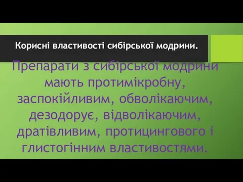 Корисні властивості сибірської модрини. Препарати з сибірської модрини мають протимікробну, заспокійливим,