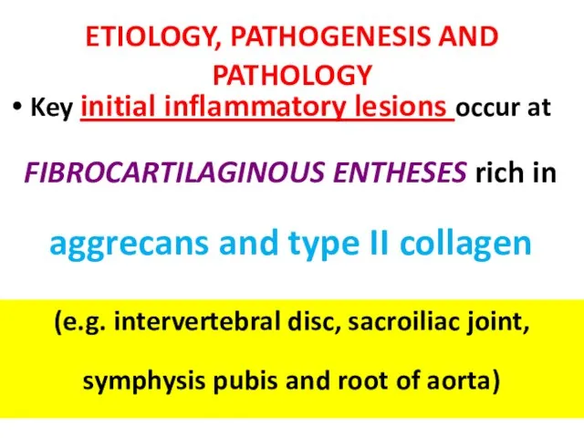 ETIOLOGY, PATHOGENESIS AND PATHOLOGY Key initial inflammatory lesions occur at FIBROCARTILAGINOUS