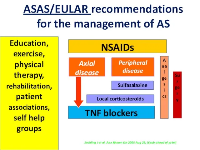 Education, exercise, physical therapy, rehabilitation, patient associations, self help groups NSAIDs