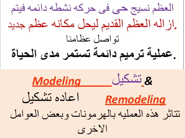 العظم نسيج حى فى حركه نشطه دائمه فيتم ازاله العظم القديم