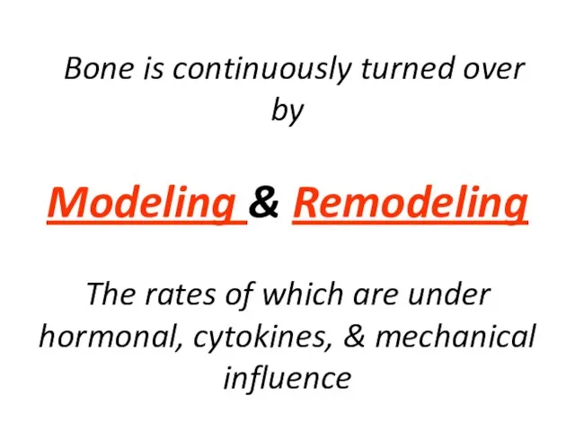 Bone is continuously turned over by Modeling & Remodeling The rates