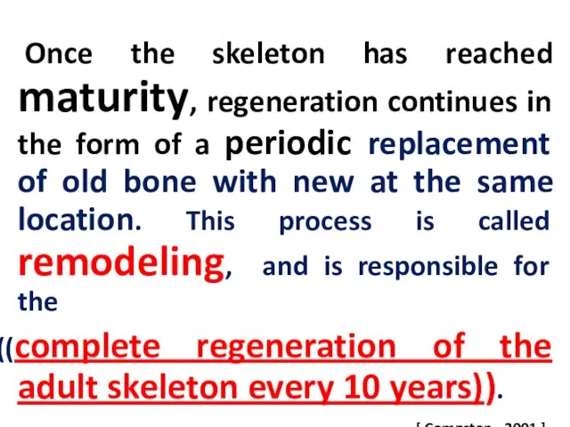 Once the skeleton has reached maturity, regeneration continues in the form