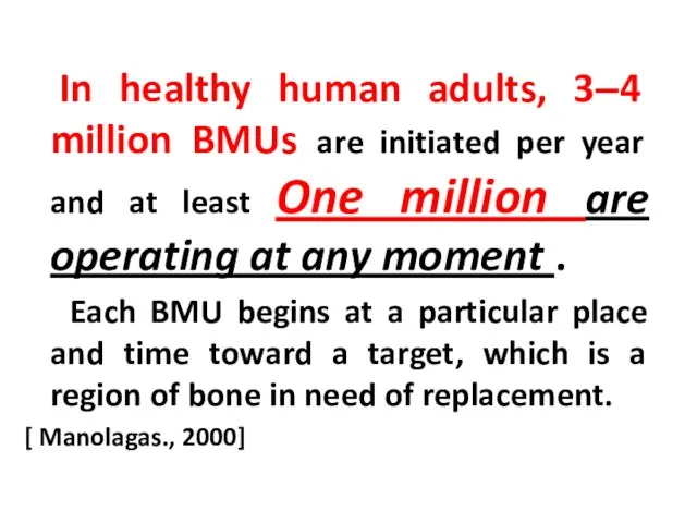 In healthy human adults, 3–4 million BMUs are initiated per year