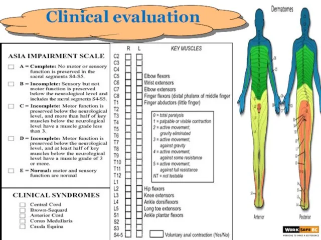 Clinical evaluation