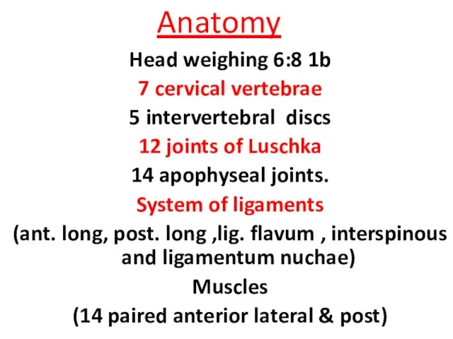 Anatomy Head weighing 6:8 1b 7 cervical vertebrae 5 intervertebral discs