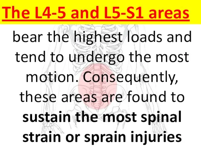 bear the highest loads and tend to undergo the most motion.