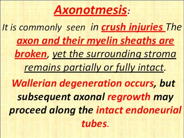 Axonotmesis: It is commonly seen in crush injuries The axon and