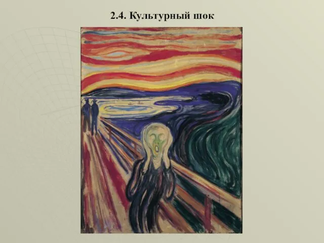 2.4. Культурный шок