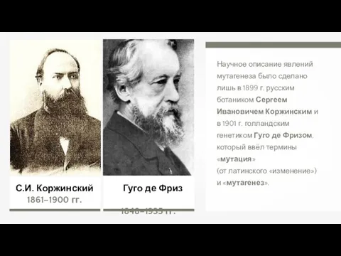 Гуго де Фриз 1848–1935 гг. Научное описание явлений мутагенеза было сделано