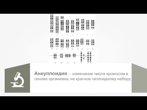 Анеуплоидия — изменение числа хромосом в геноме организма, не кратное гаплоидному набору.