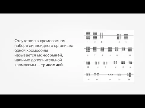 Отсутствие в хромосомном наборе диплоидного организма одной хромосомы называется моносомией, наличие дополнительной хромосомы — трисомией.