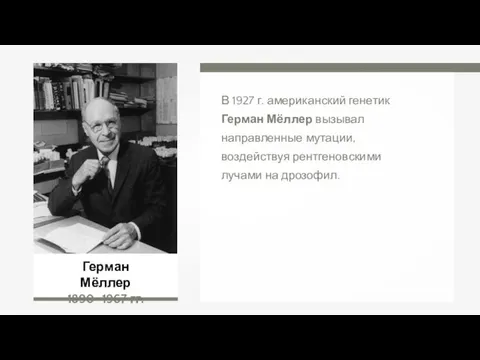 Герман Мёллер 1890–1967 гг. В 1927 г. американский генетик Герман Мёллер