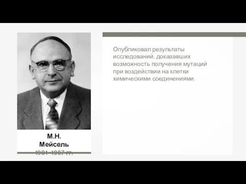 М.Н. Мейсель 1901–1987 гг. Опубликовал результаты исследований, доказавших возможность получения мутаций