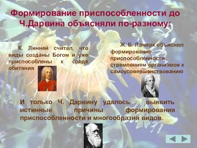 Формирование приспособленности до Ч.Дарвина объясняли по-разному: К. Линней считал, что виды