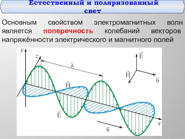 Естественный и поляризованный свет Основным свойством электромагнитных волн является поперечность колебаний