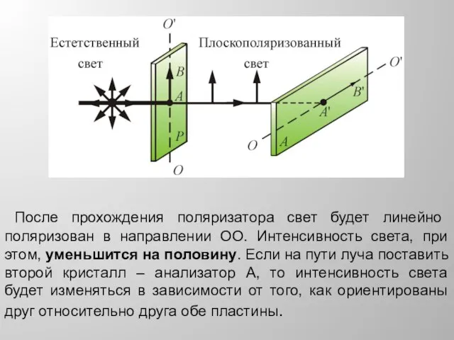 После прохождения поляризатора свет будет линейно поляризован в направлении ОО. Интенсивность