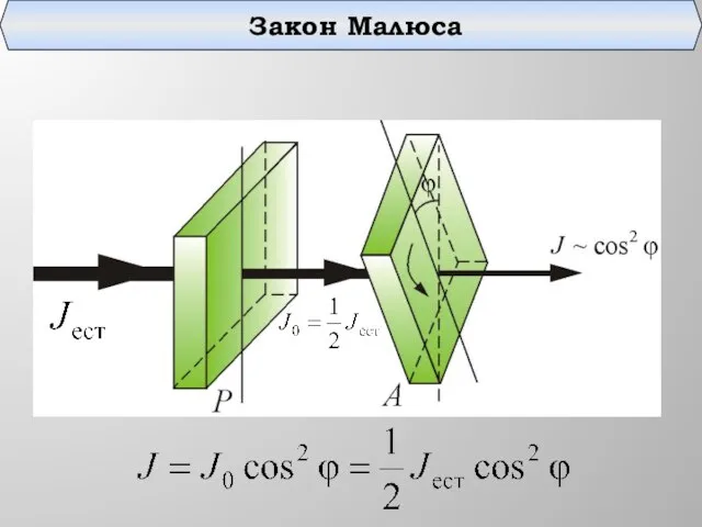 Закон Малюса