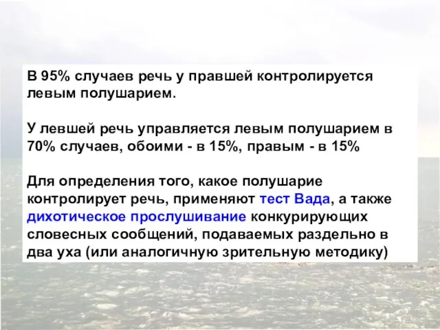 В 95% случаев речь у правшей контролируется левым полушарием. У левшей