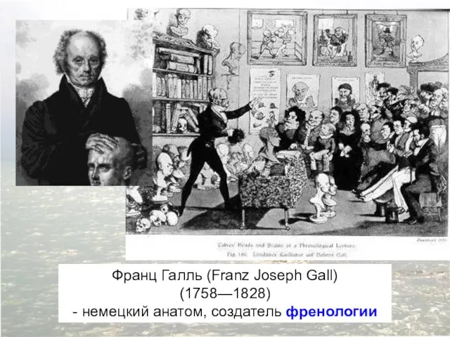 Франц Галль (Franz Joseph Gall) (1758—1828) - немецкий анатом, создатель френологии