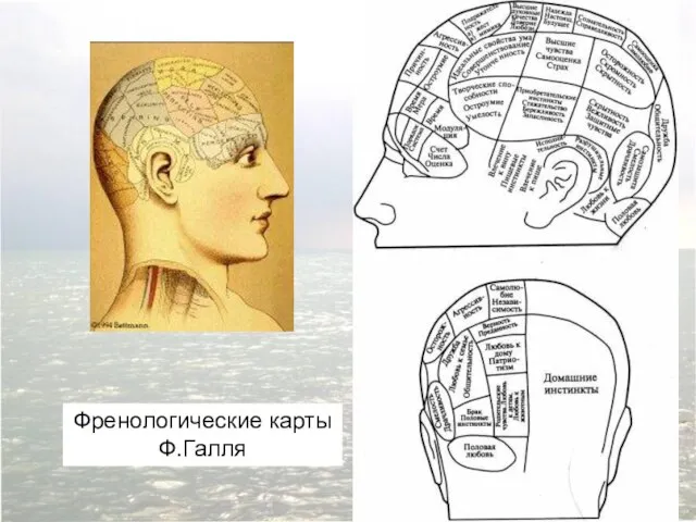 Френологические карты Ф.Галля