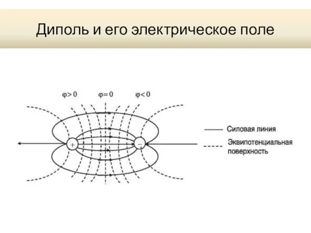 Диполь и его электрическое поле