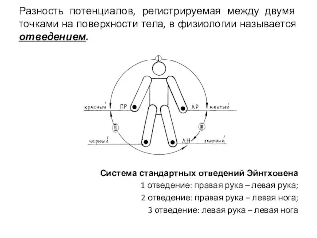 Разность потенциалов, регистрируемая между двумя точками на поверхности тела, в физиологии