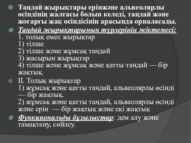 Таңдай жырықтары ерінжәне альвеолярлы өсіндінің жалғасы болып келеді, таңдай және жоғарғы