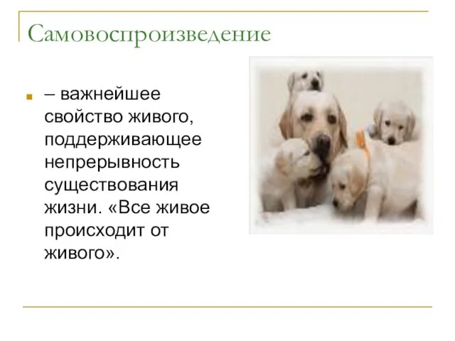 Самовоспроизведение – важнейшее свойство живого, поддерживающее непрерывность существования жизни. «Все живое происходит от живого».