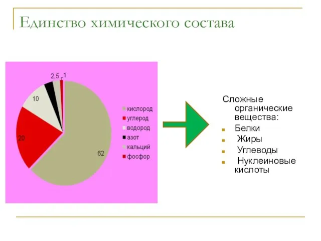 Единство химического состава Сложные органические вещества: Белки Жиры Углеводы Нуклеиновые кислоты
