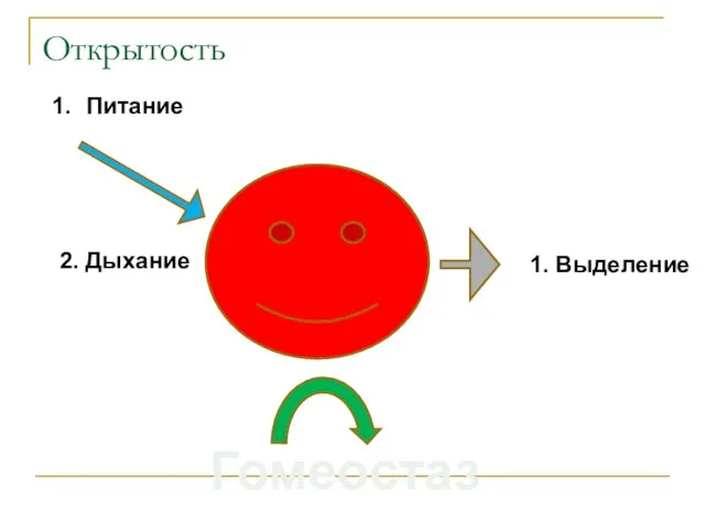 Питание 2. Дыхание 1. Выделение Гомеостаз Открытость