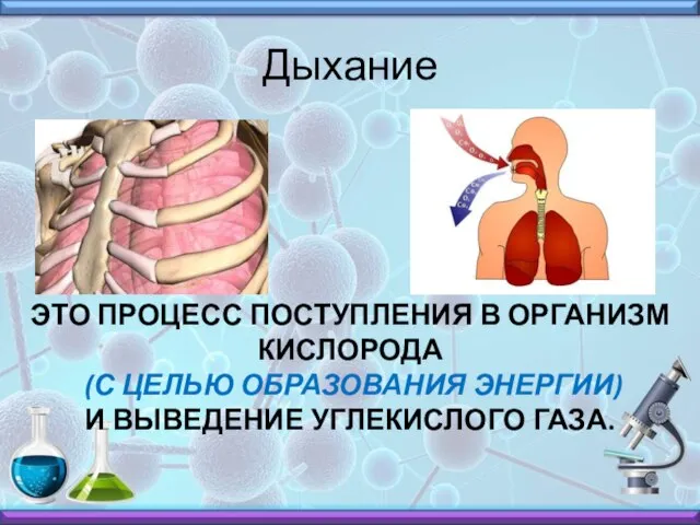 Дыхание ЭТО ПРОЦЕСС ПОСТУПЛЕНИЯ В ОРГАНИЗМ КИСЛОРОДА (С ЦЕЛЬЮ ОБРАЗОВАНИЯ ЭНЕРГИИ) И ВЫВЕДЕНИЕ УГЛЕКИСЛОГО ГАЗА.