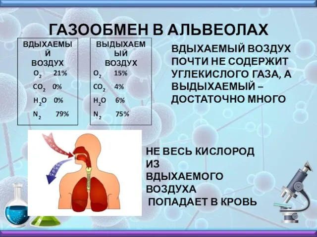 ГАЗООБМЕН В АЛЬВЕОЛАХ ВДЫХАЕМЫЙ ВОЗДУХ O2 21% CO2 0% H2O 0%