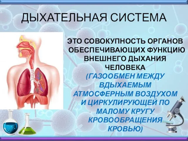 ДЫХАТЕЛЬНАЯ СИСТЕМА ЭТО СОВОКУПНОСТЬ ОРГАНОВ ОБЕСПЕЧИВАЮЩИХ ФУНКЦИЮ ВНЕШНЕГО ДЫХАНИЯ ЧЕЛОВЕКА (ГАЗООБМЕН