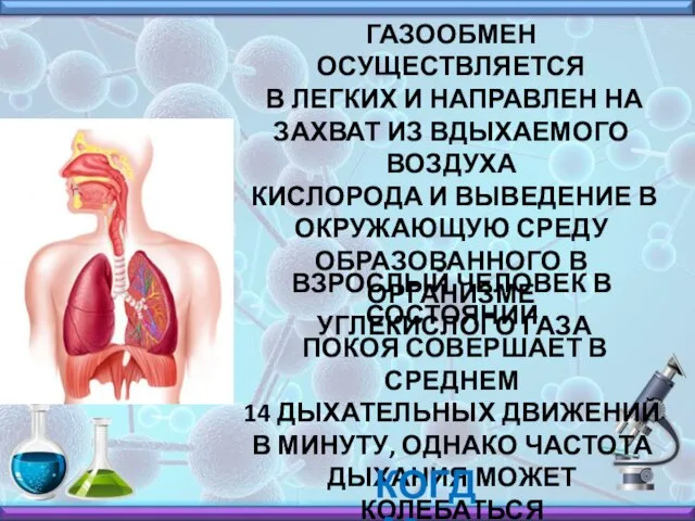 ГАЗООБМЕН ОСУЩЕСТВЛЯЕТСЯ В ЛЕГКИХ И НАПРАВЛЕН НА ЗАХВАТ ИЗ ВДЫХАЕМОГО ВОЗДУХА