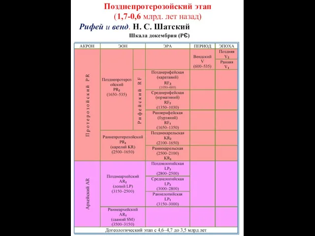 Позднепротерозойский этап (1,7-0,6 млрд. лет назад) Рифей и венд. Н. С. Шатский