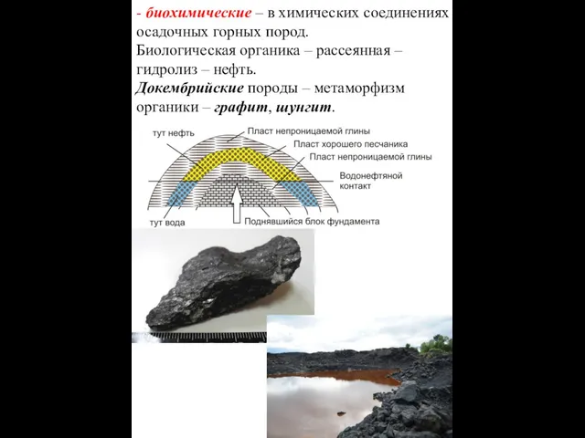 - биохимические – в химических соединениях осадочных горных пород. Биологическая органика