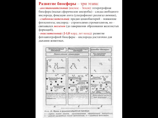 Развитие биосферы – три этапа: - восстановительный (космос – Земля): гетеротрофная