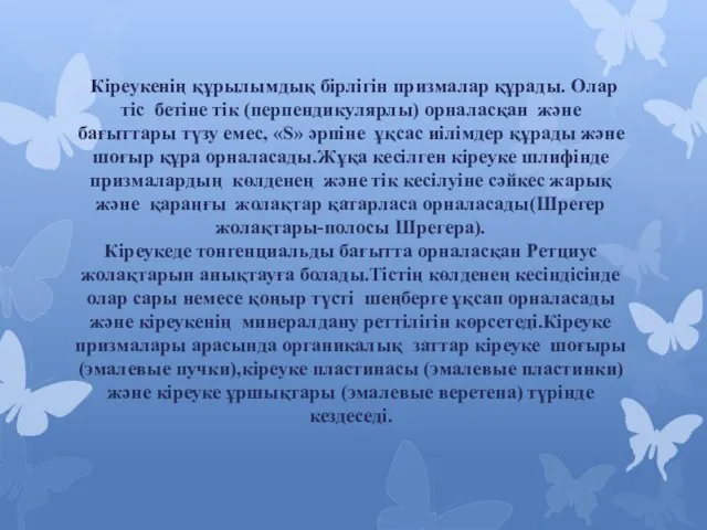 Кіреукенің құрылымдық бірлігін призмалар құрады. Олар тіс бетіне тік (перпендикулярлы) орналасқан