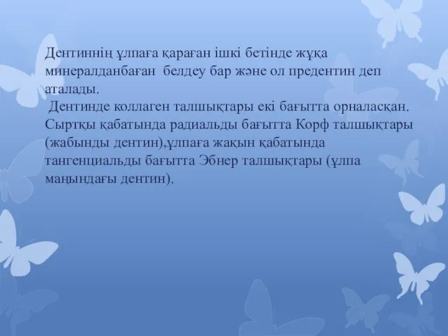 Дентиннің ұлпаға қараған ішкі бетінде жұқа минералданбаған белдеу бар және ол