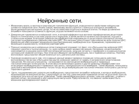 Нейронные сети. Механизмы мозга, в частности реализация психических функций, определяются свойствами