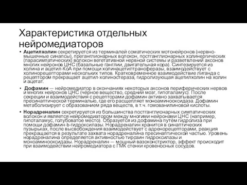 Характеристика отдельных нейромедиаторов Ацетилхолин секретируется из терминалей соматических мотонейронов (нервно-мышечные синапсы),