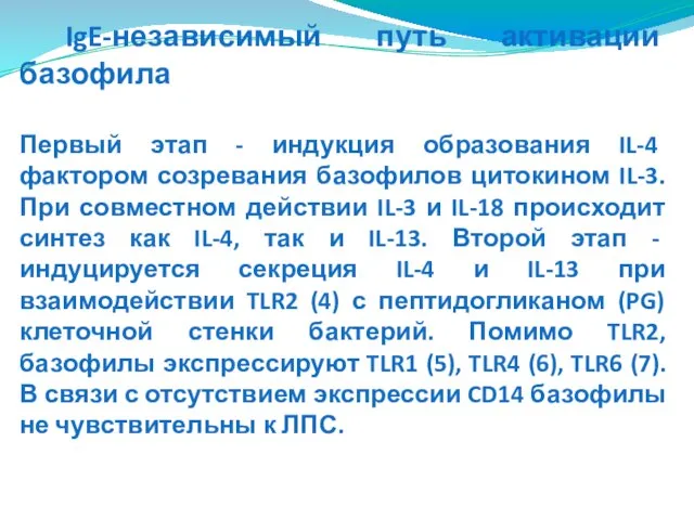 IgE-независимый путь активации базофила Первый этап - индукция образования IL-4 фактором