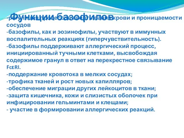 -регуляция процессов свертывания крови и проницаемости сосудов -базофилы, как и эозинофилы,