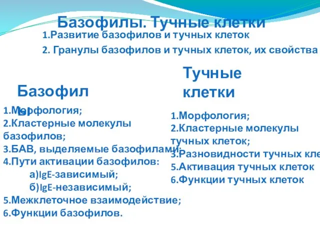 1.Развитие базофилов и тучных клеток 2. Гранулы базофилов и тучных клеток,