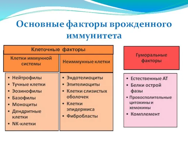 Основные факторы врожденного иммунитета Клеточные факторы