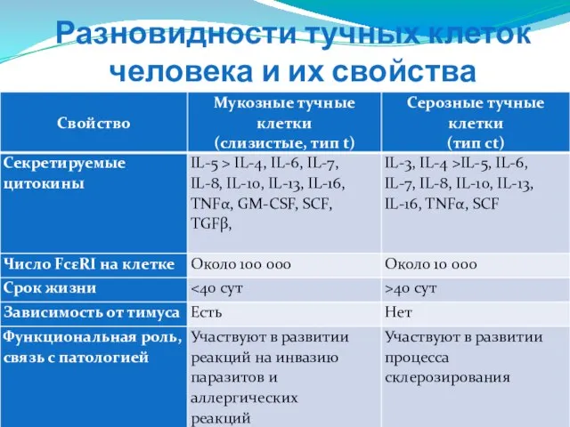 Разновидности тучных клеток человека и их свойства